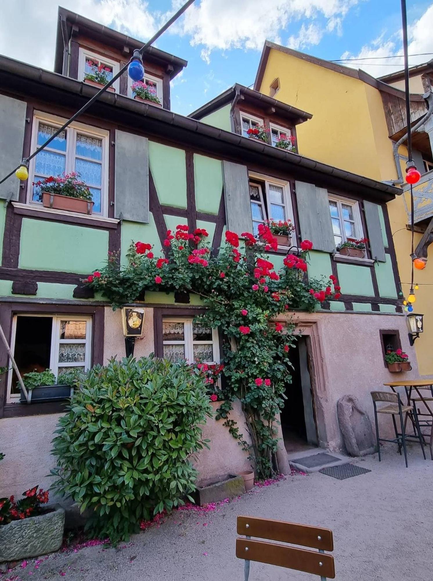 Le Gambrinus Restaurant Et D Hôtes Maison d'hôtes